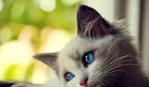 QQ��ͼ20210628095210.png