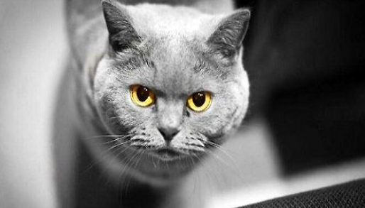 QQ��ͼ20210629173859.png