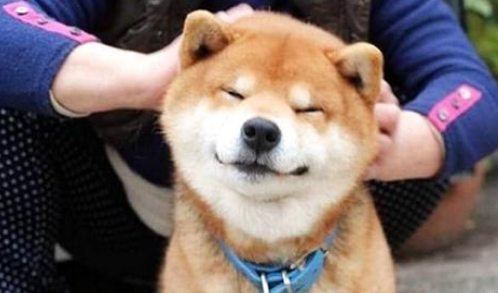 QQ��ͼ20210630094623.png