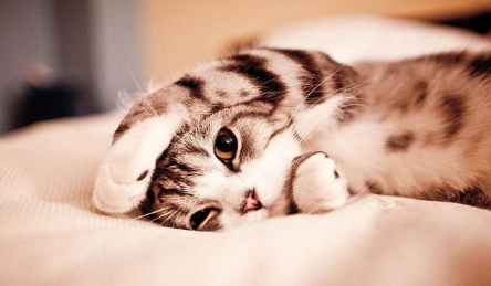 QQ��ͼ20210630100144.png