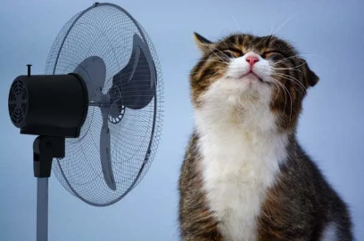 QQ��ͼ20210630163842.png