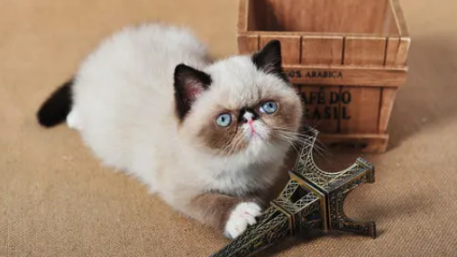 QQ��ͼ20210630174421.png