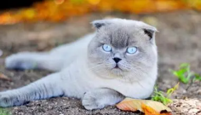 QQ��ͼ20210701171759.png