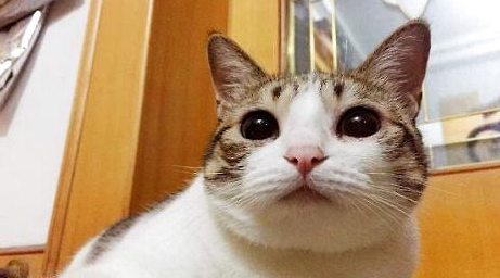 QQ��ͼ20210702181222.png