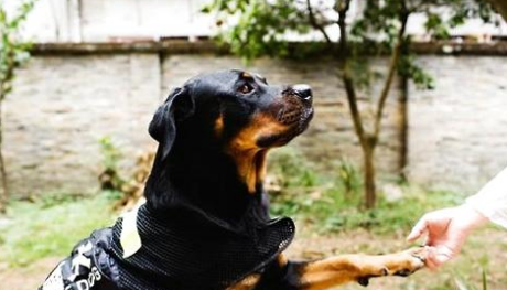 QQ��ͼ20210705093801.png