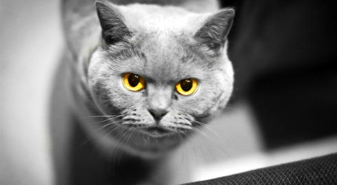 QQ��ͼ20210705101532.png