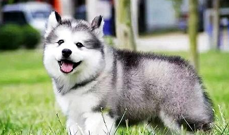 QQ��ͼ20210706093258.png