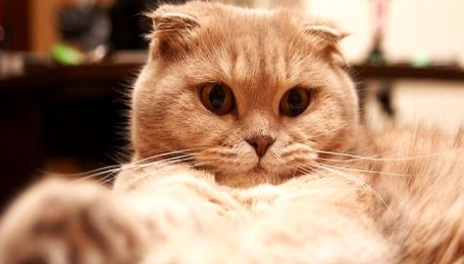 QQ��ͼ20210706152651.png