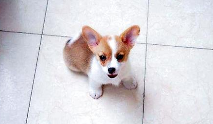 QQ��ͼ20210706181439.png