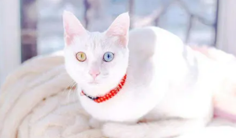 QQ��ͼ20210707095518.png