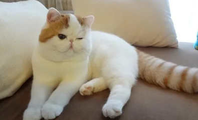 QQ��ͼ20210707164933.png