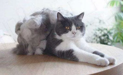 QQ��ͼ20210707165105.png