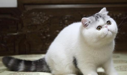 QQ��ͼ20210709092721.png
