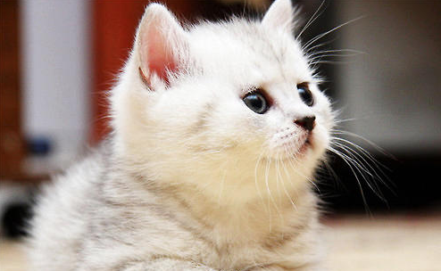 QQ��ͼ20210709095348.png