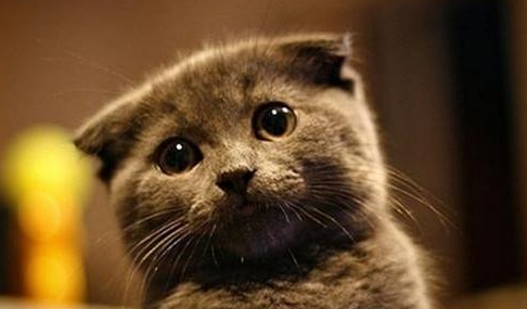 QQ��ͼ20210709180258.png