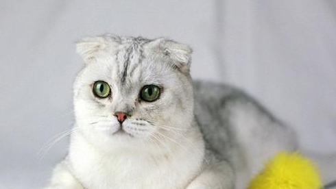 QQ��ͼ20210710163559.png