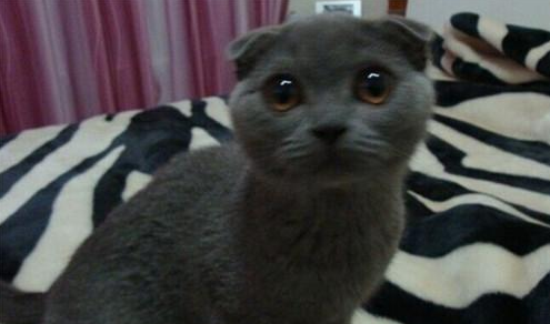 QQ��ͼ20210713093054.png
