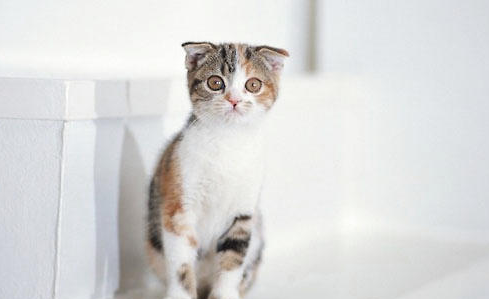 QQ��ͼ20210713093831.png