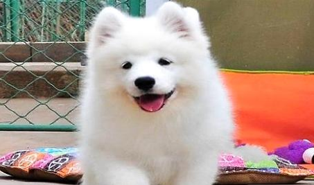 QQ��ͼ20210715092631.png