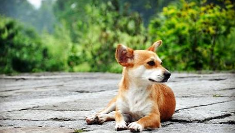 QQ��ͼ20210715093234.png