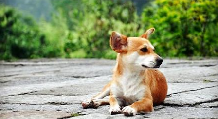 QQ��ͼ20210715093808.png