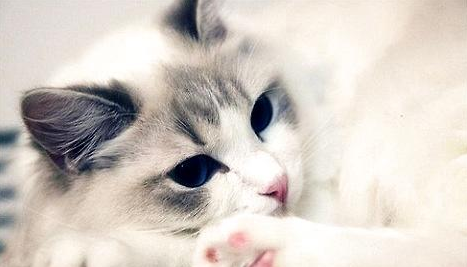 QQ��ͼ20210715100329.png