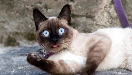 QQ��ͼ20210716100213.png