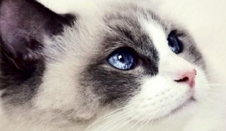 QQ��ͼ20210719175102.png