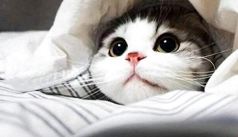 QQ��ͼ20210719181209.png