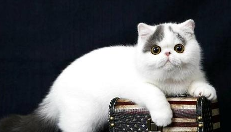 QQ��ͼ20210727161256.png