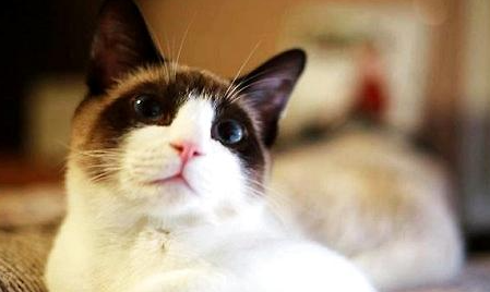 QQ��ͼ20210727161743.png