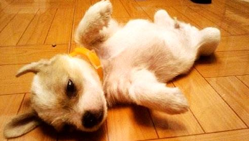 QQ��ͼ20210804172009.png