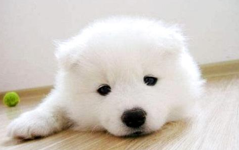 QQ��ͼ20210805174418.png