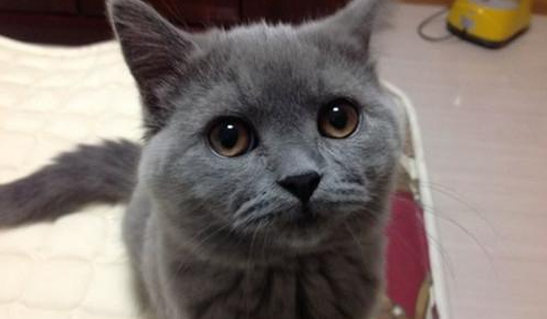 QQ��ͼ20210812164344.png