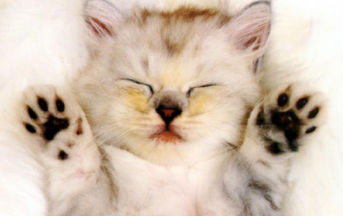 QQ��ͼ20210813171646.png