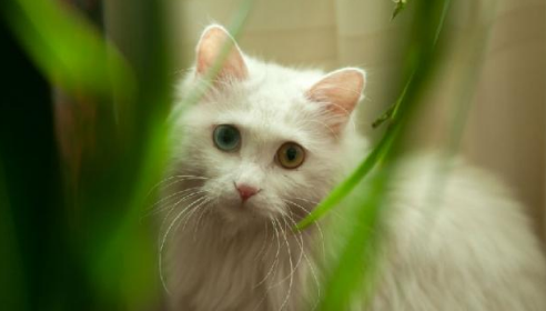 QQ��ͼ20210813171803.png