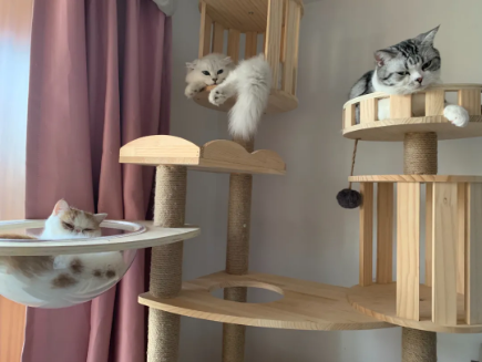 QQ��ͼ20210813182920.png