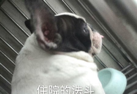 QQ��ͼ20210817172320.png