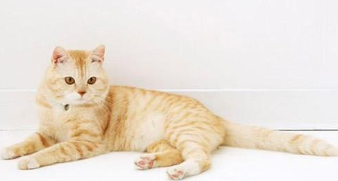 QQ��ͼ20210818170707.png