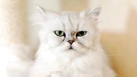 QQ��ͼ20210820171931.png