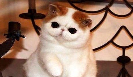 QQ��ͼ20210821151951.png