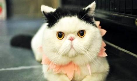 QQ��ͼ20210821152652.png