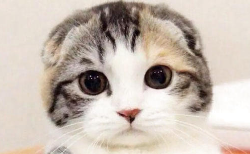 QQ��ͼ20210821153213.png