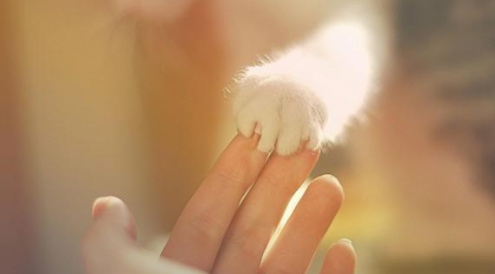 QQ��ͼ20210821154709.png