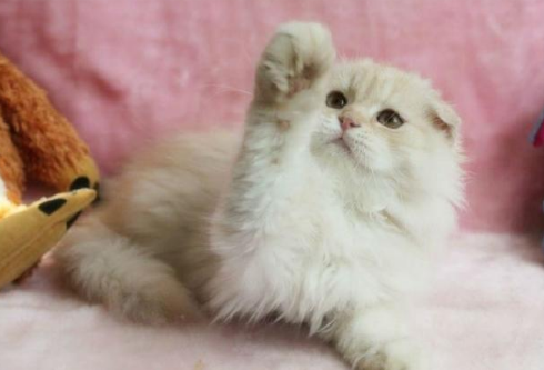 QQ��ͼ20210821155202.png