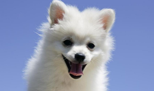 QQ��ͼ20210823173656.png