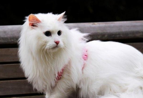 QQ��ͼ20210824172648.png