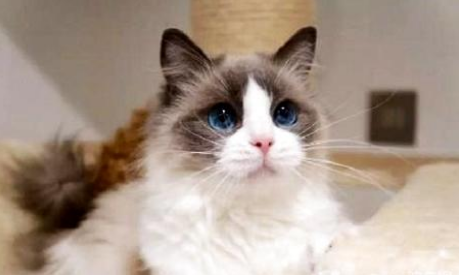 QQ��ͼ20210825171053.png