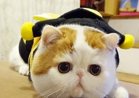 QQ��ͼ20210826180422.png