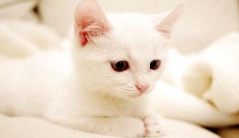 QQ��ͼ20210831181740.png